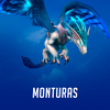 World of Warcraft - Monturas