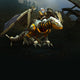 Mount Steamscale Incinerator World of Warcraft