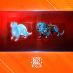 Load image into Gallery viewer, Colección Definitiva de la BlizzCon
