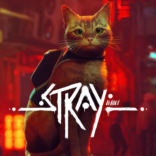 Stray (PS4 and PS5)