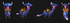 files/SporebearerFungalStrider-Zancudofungicoportadordeesporas-mountworldofwarcraft.png