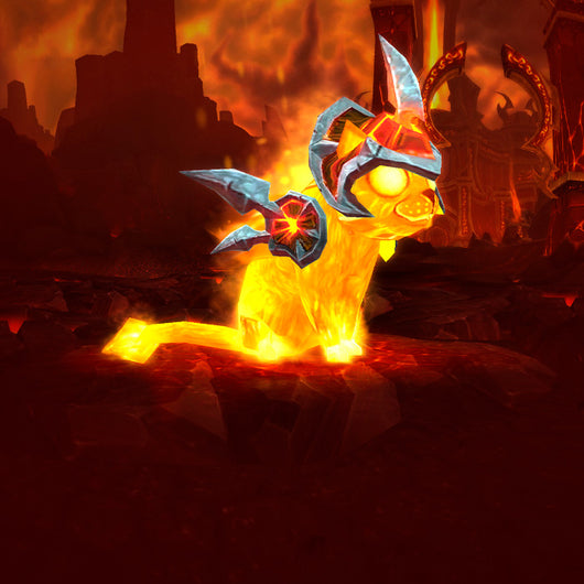 Mascota Gatito de ceniza World of Warcraft