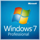 Windows 7 Professional - Microsoft