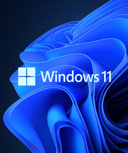 Windows 11 Professional - Microsoft
